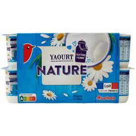 Yaourt nature (16x125g)
