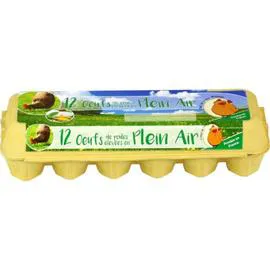 Oeufs de Plein Air (x12)