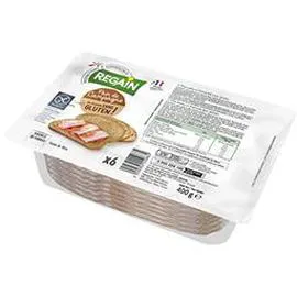 REGAIN Pain de campagne sans gluten 400g