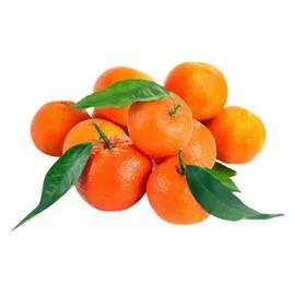 Clémentine de Corse en conversion Bio (750g)