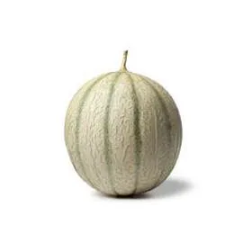 Melon charentais Prix Bas (l'unité)