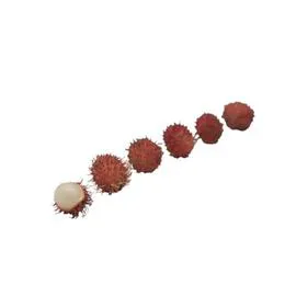 Ramboutan (250g)