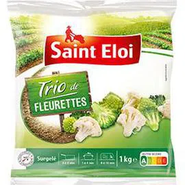 SAINT ELOI Trio de fleurettes 1kg