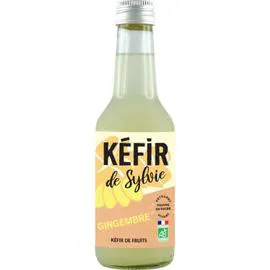 Kéfir de Fruits Citron Bio (25cl)