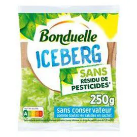 Iceberg sans résidu de pesticides (250g)