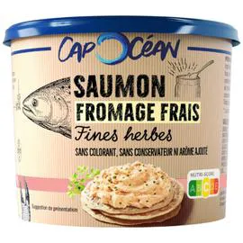 Spécialité fromagère saumon & tartare (140g)