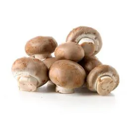  Champignon blond Bio 200g