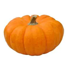 Citrouille Jack be little (l'unité)