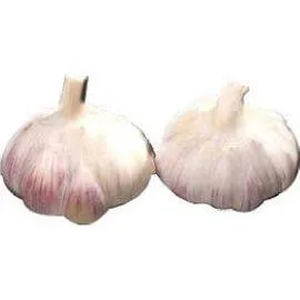INTERMARCHÉ, LE CHOIX DU PRIMEUR Ail BLANC 100g
