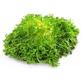 Salade Frisée (l'unité)