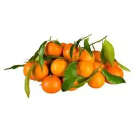 Mandarines avec feuilles (1,5kg)