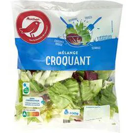 Mélange croquant de frisée chicorée rouge scarole et iceberg (200g)