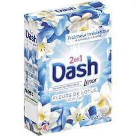 DASH Poudre 40 doses fleurs de lotus 2,6kg