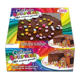 Gâteau surprise (890g)