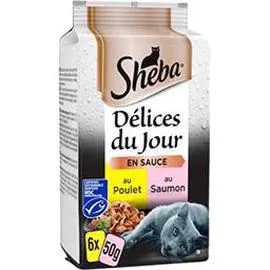 Délices du Jour en sauce terre & mer pour chats (6x50g)
