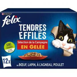 PURINA, FELIX Pâtée pour chat pour adulte tendres effilés en gelée 12x85g