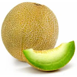 Melon Galia (l'unité)