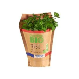 Persil plat en pot Bio (l'unité)
