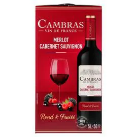 Vin rouge fruités Cabernet Sauvignon (5l)