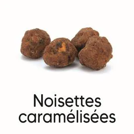 JUSTE BIO Noisettes caramélisées BIO 100g