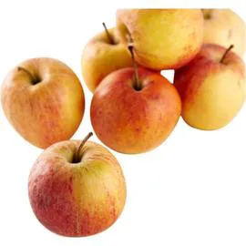 Pomme Gala vrac Bio Gala (1kg)