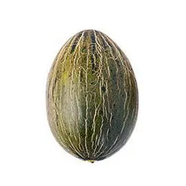 Melon Vert (l'unité)