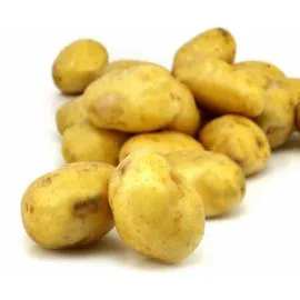 Pommes de terre de consommation non lavées (5kg)