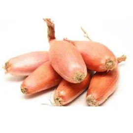 Echalotes Suprême (x6)