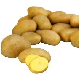 REFLETS DE FRANCE Pommes de terre Primeur de Noirmoutier agroécologie 750g