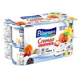 Cremeo - Yaourts morceaux de fruits (2kg)
