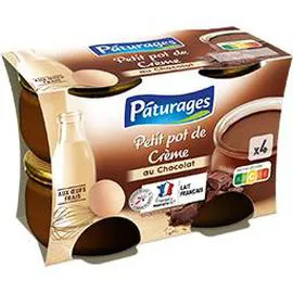PÂTURAGES Petit pot de crème au chocolat 4x100g