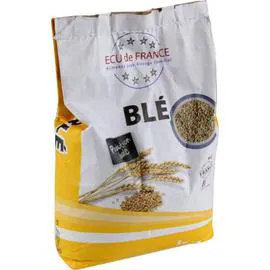Blé (5kg)