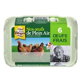 Oeufs frais élevés en plein air (x6)