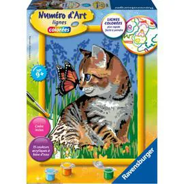 Kit de peinture Numéro d'Art format moyen - modèle aléatoire (l'unité)
