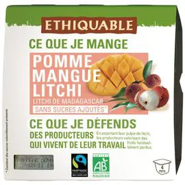 Compote pomme mangue litchi sans sucre ajouté Bio (4x100g)
