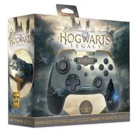 FREAKSNGEEKS Manette Filaire Hogwarts Legacy l'unité