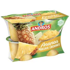 Dessert de fruit d'ananas avec morceaux (4x100g)