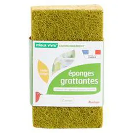 Eponges grattantes multi-usages (x2)