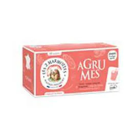 Infusion Agrumes x30 (39g)