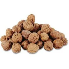 Noix sèches de Corrèze bio (500g)