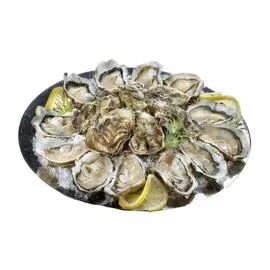 Huîtres creuses de Bretagne N°3 ouverture facile (x24)
