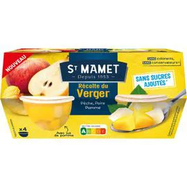 Récolte du verger sans sucres ajoutés (452g)