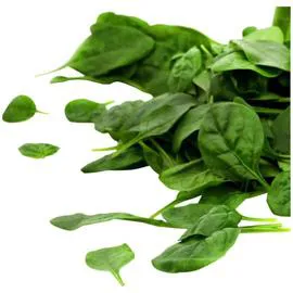 Salade Bio jeunes pousses d'épinard (100g)