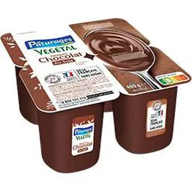 Dessert végétal au soja chocolat (4x100g)