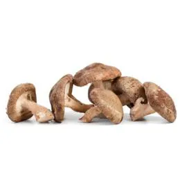  Champignons Shiitake Bio 100g