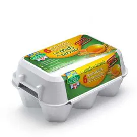 Oeufs Calibre Gros (x6)