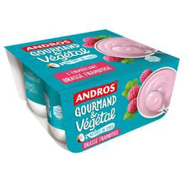 ANDROS Brassé végétal Framboise 400g