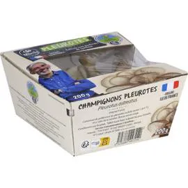 Pleurote Agroécologie (200g)