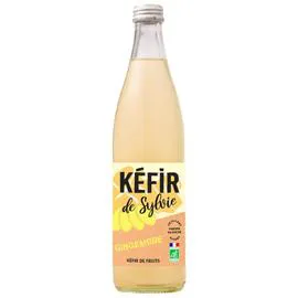 Kéfir de Fruits Gingembre Bio (50cl)