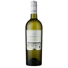 Vin blanc IGP Cotes de thau (75cl)